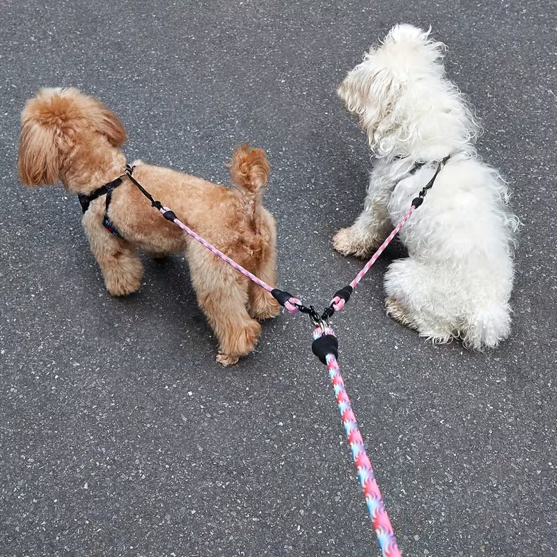 Double Dog Leash