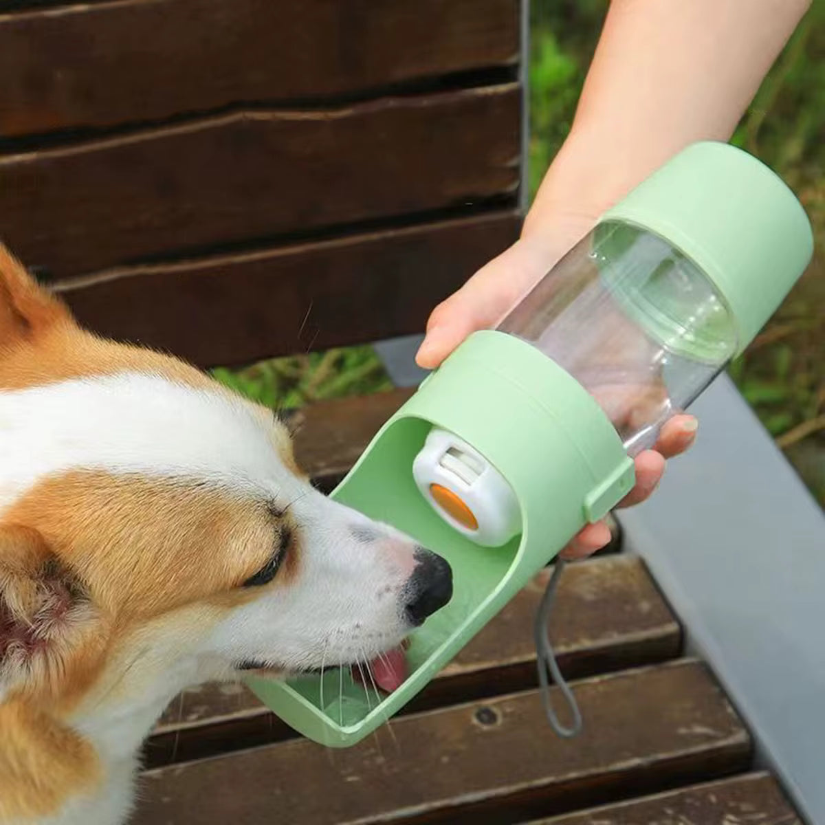 Dog Water Bottle