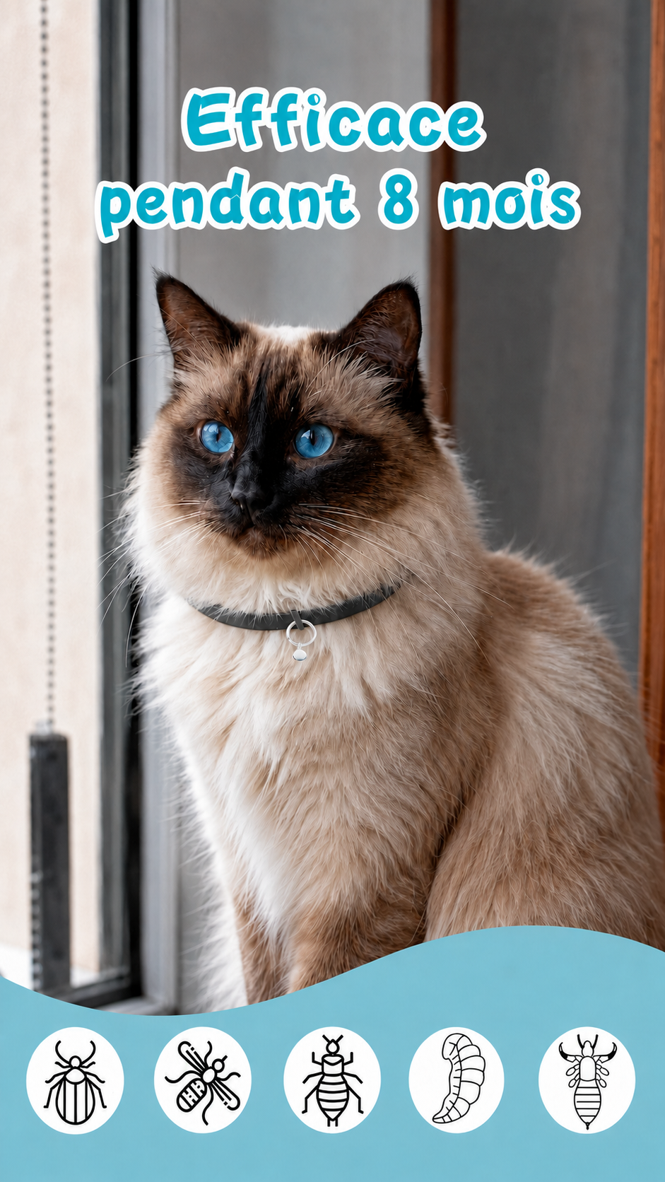 Collier anti-tiques réglable pour chats