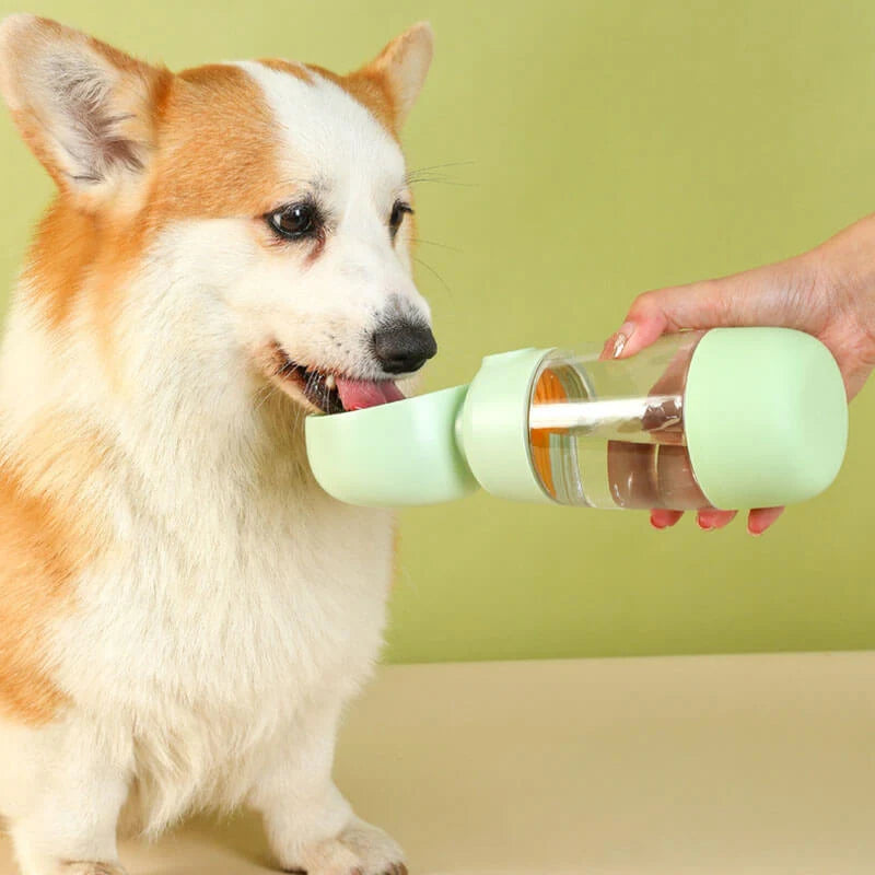Dog Water Bottle