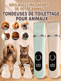 Complete Grooming Kit